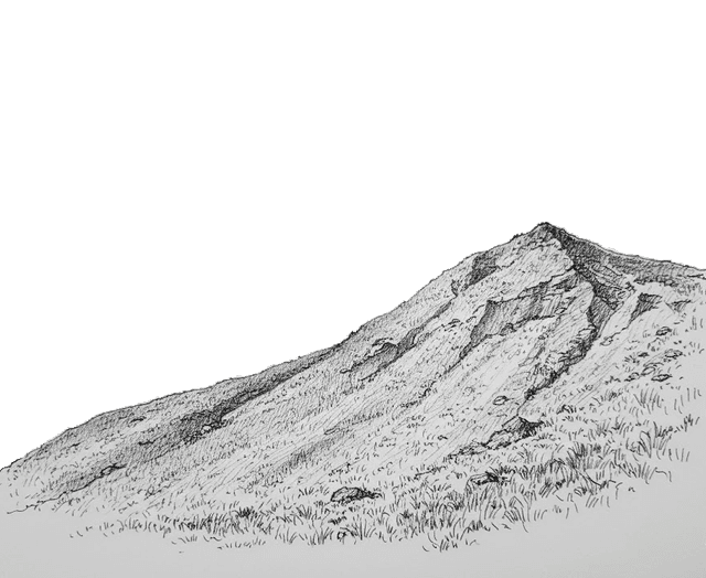 Field