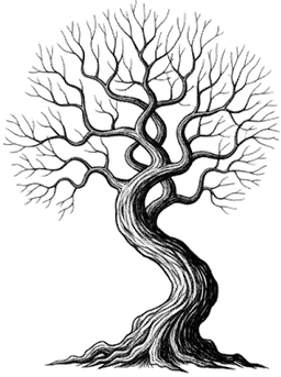 Tree swaying in the wind