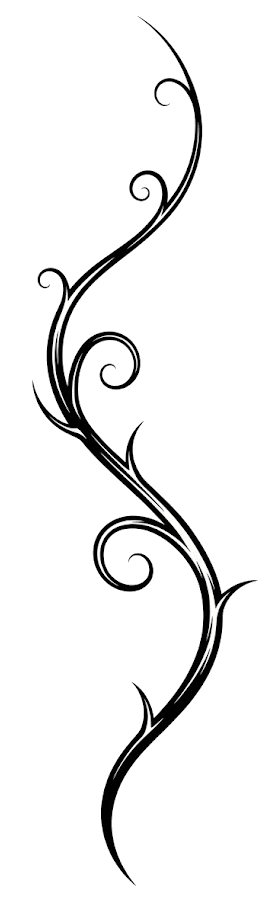 Vine