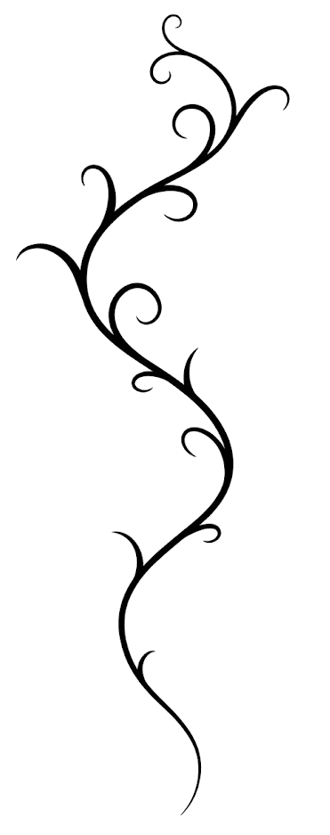 Vine