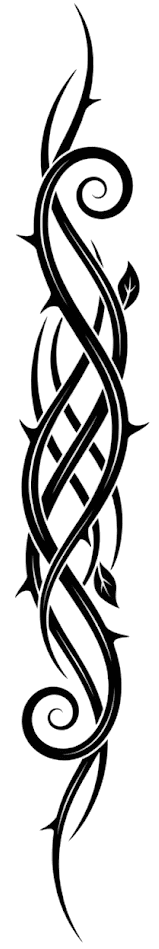 Vine