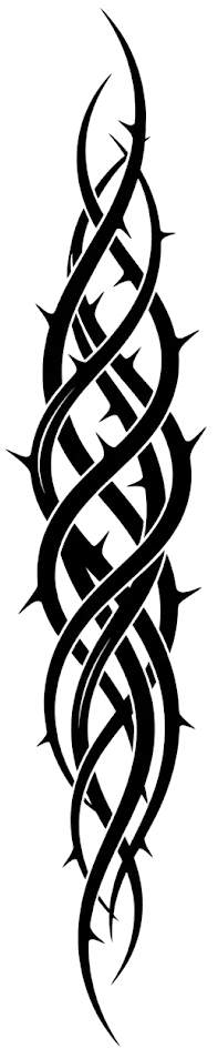 Vine