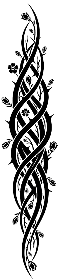 Vine