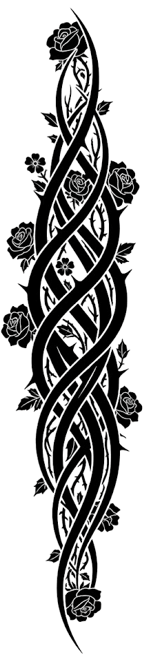 Vine